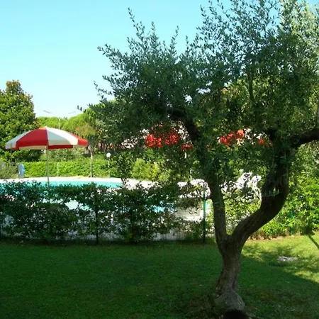 Olive Orchard Gardened With Shared Pool דירה ביביונה